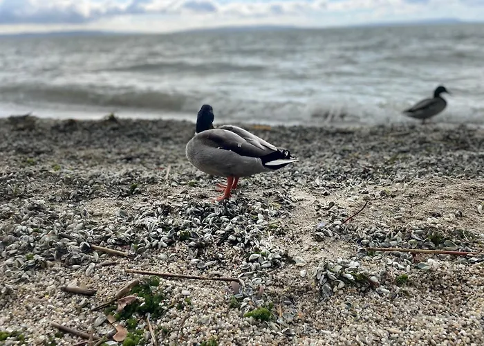 בית נופש Csakakali